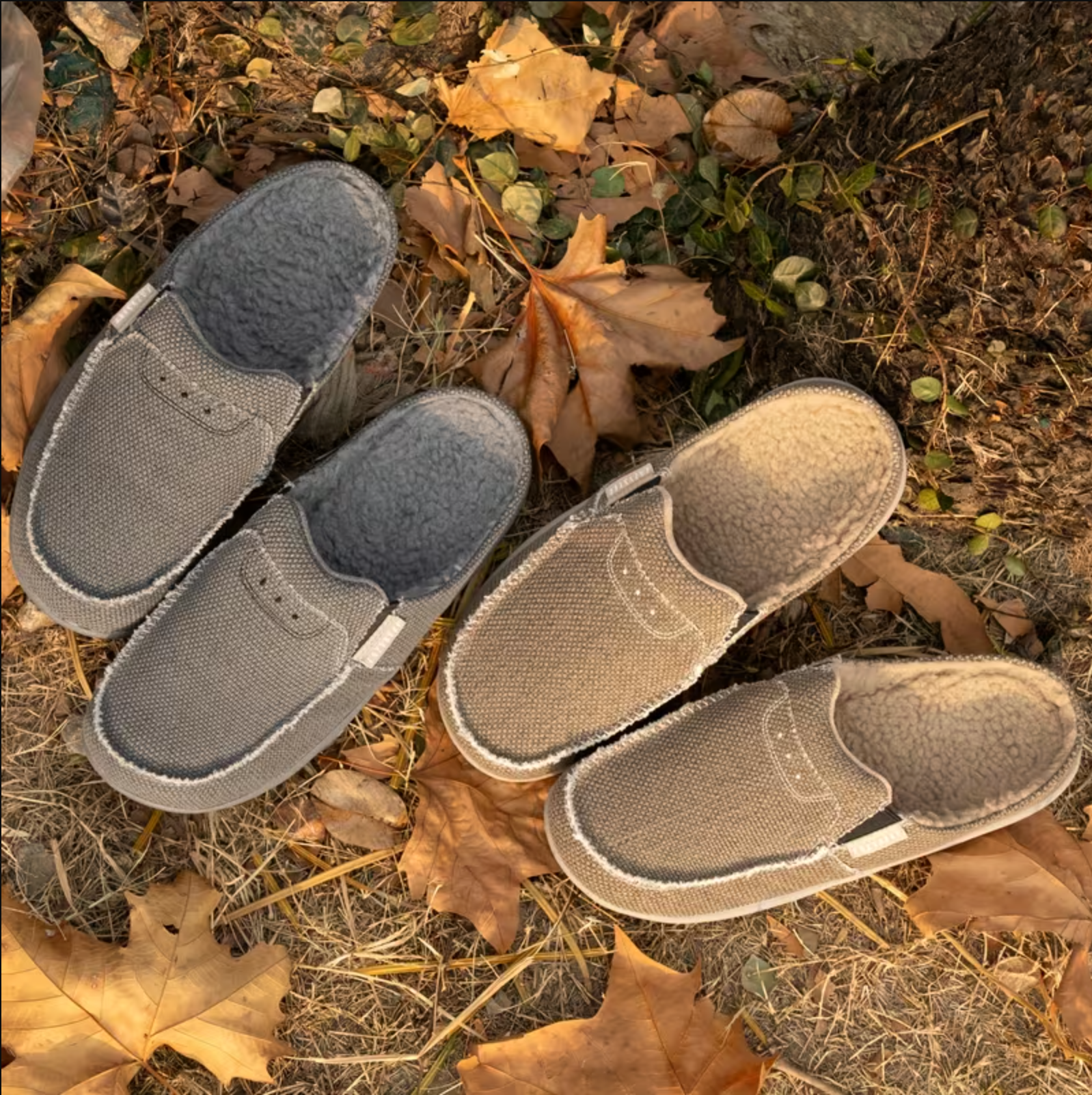 Velosria Men's Canvas Mule Slipper